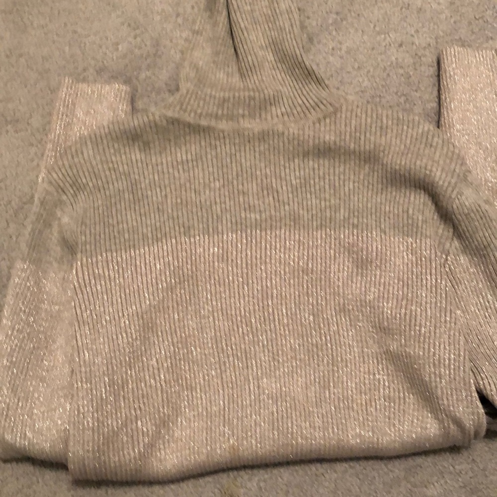 Silver two tones turtle neck.